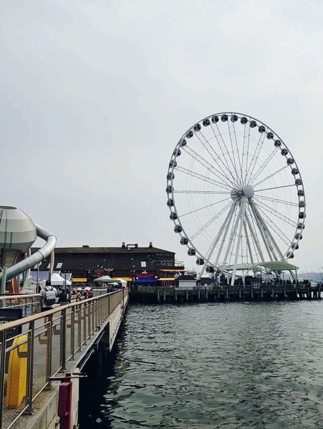 西雅圖城市的亮點❣️：Seattle Great Wheel