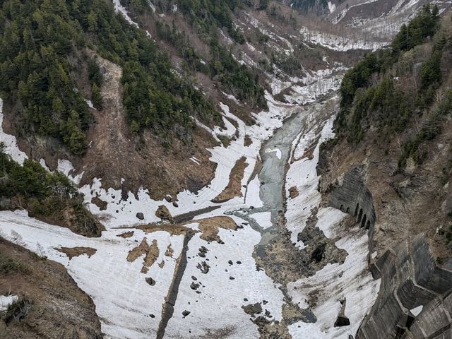 🏔️立山黑部壯麗之旅心得 🏔️立山黑部壯麗之旅心得