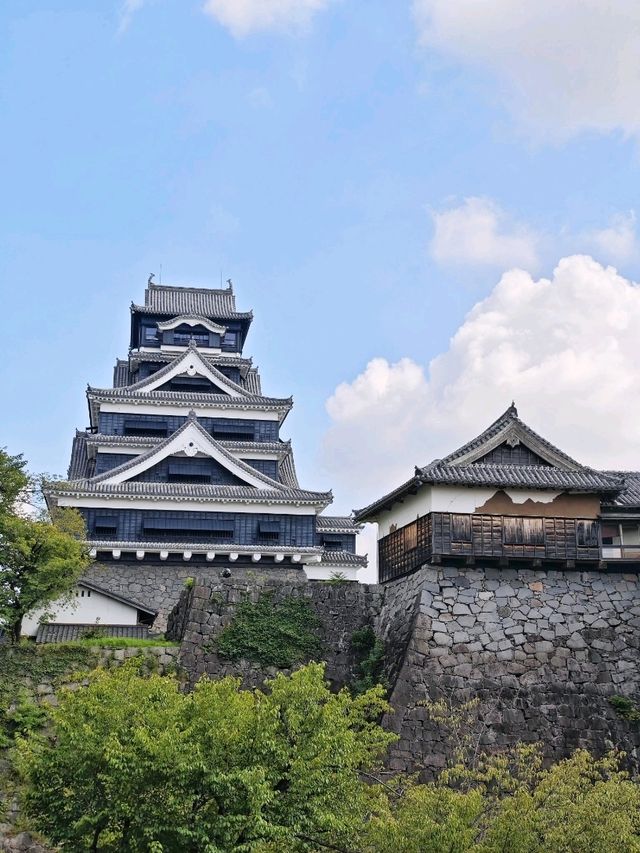 熊本城🏯歷史與🇯🇵重生之旅