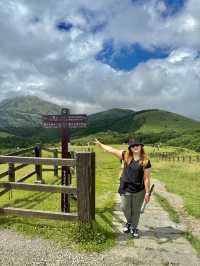 Escape to YangMingShan (QingTiangGang & LengShuiKeng) 🍃🌳