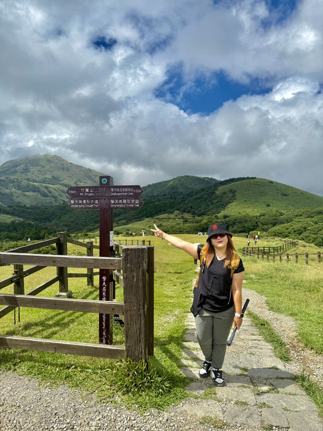 Escape to YangMingShan (QingTiangGang & LengShuiKeng) 🍃🌳