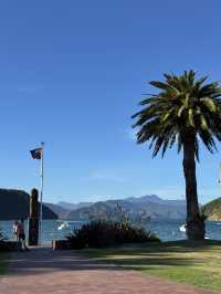 【ニュージーランド・ピクトン】海と自然に癒される「ピクトン記念公園」🌊🌳