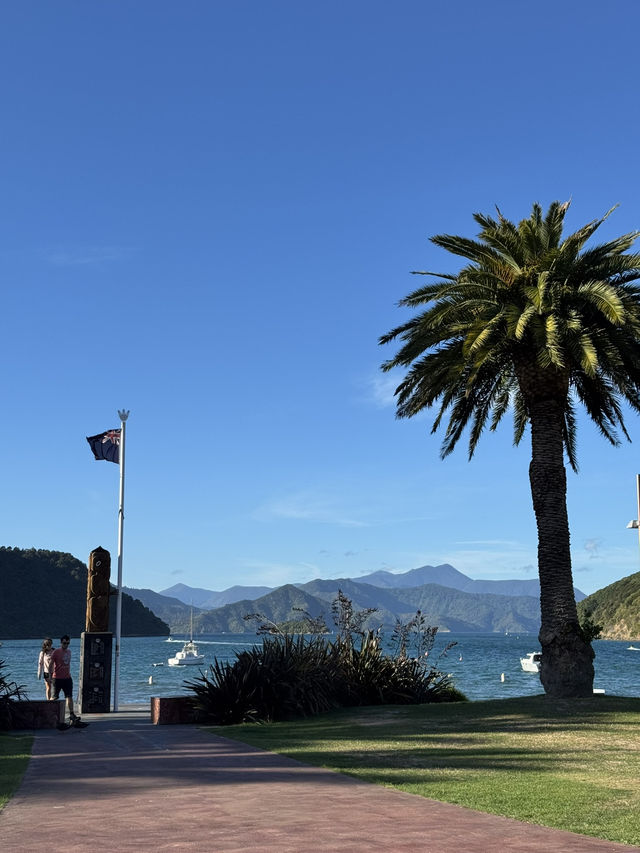 【ニュージーランド・ピクトン】海と自然に癒される「ピクトン記念公園」🌊🌳