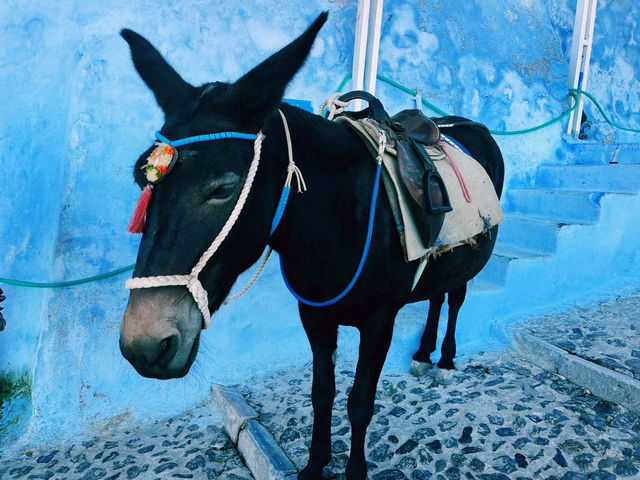 サントリーニ島　新婚旅行🇬🇷