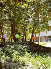 Starling Mall’s Green Oasis: An Urban Park for Slow Living 🌳🚶♀️