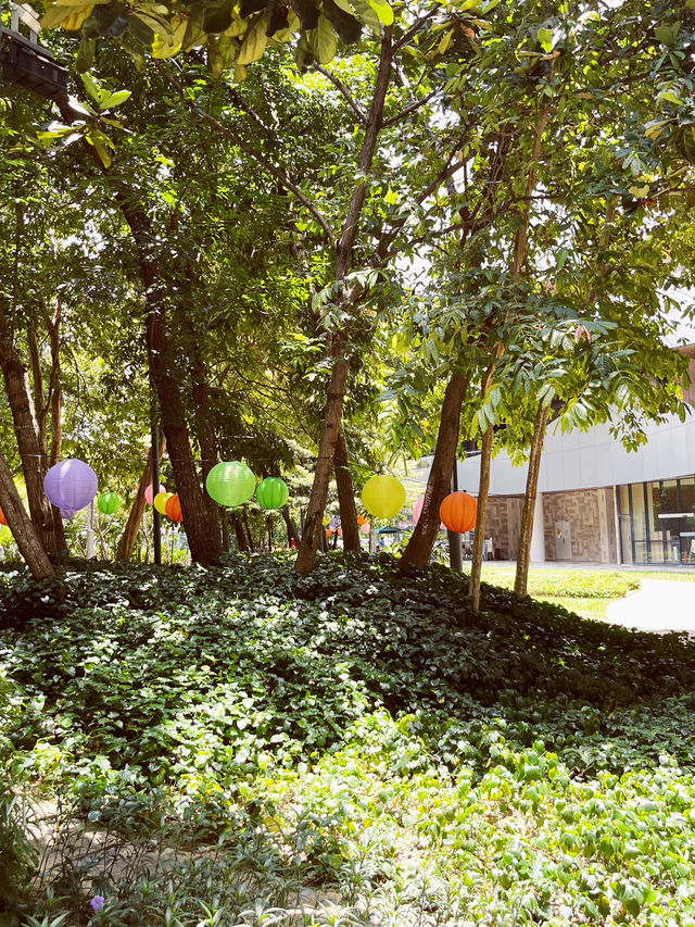 Starling Mall’s Green Oasis: An Urban Park for Slow Living 🌳🚶♀️