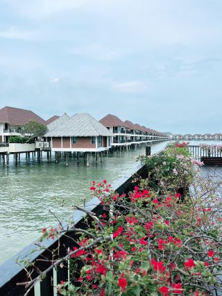 Golden Palm Tree Sepang: Serene Beachfront Escape with Overwater Villas