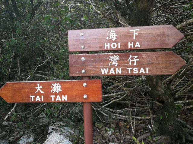 大灘郊遊徑慢步看絕美山海 大灘郊遊徑慢步看絕美山海