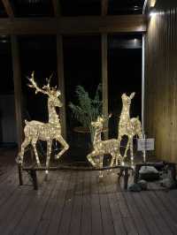 항상 똑같은 여행이 지겹다면? 책과 함께하는 북스테이 추천!