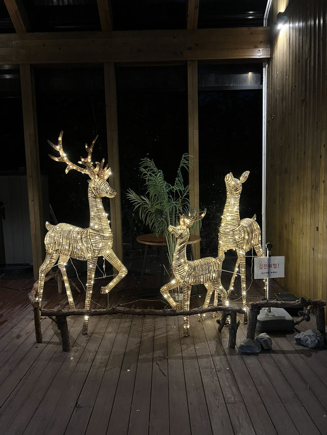 항상 똑같은 여행이 지겹다면? 책과 함께하는 북스테이 추천! 항상 똑같은 여행이 지겹다면? 책과 함께하는 북스테이 추천!