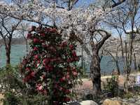 Bomunho Lake Tourism Complex