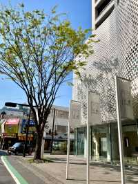 ☕ Design Meets Calm at ROBSON COFFEE, Maebashi