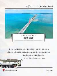 ここは抑えたい沖縄観光🌺🌴