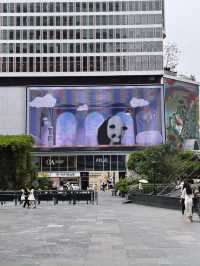 🐼 Chengdu IFS มุมแพนด้าปีนตึกสุดฮอตของเฉิงตู!