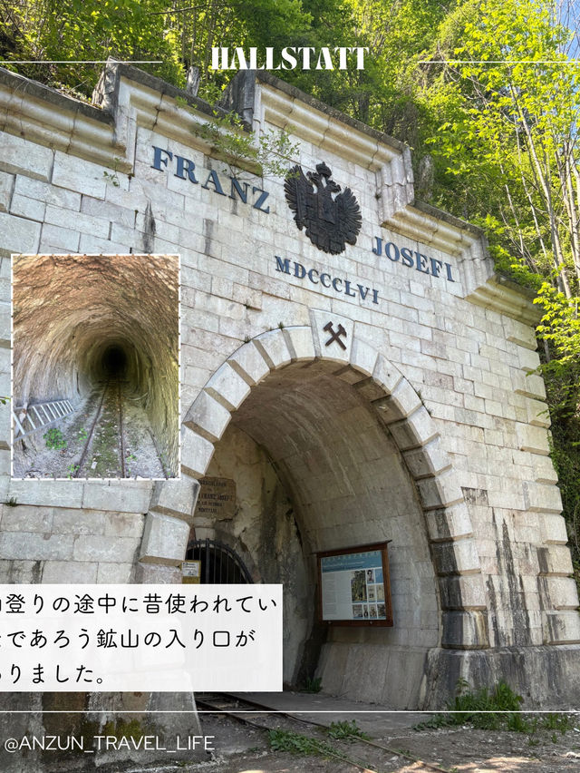 【アナ雪の世界】ハルシュタットを満喫できる1day プラン✨