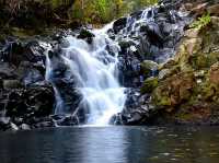 Bel Ombre Nature Reserve - Falls of Heaven in Mauritius 