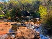 🌿 Nature’s Hidden Gem – Explore the Serenity of Roley Pool Reserve