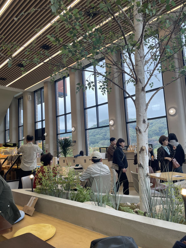 베툴라 베이커리,용인자작나무 숲🧁