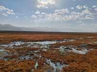 Autumn Wetlands and Snow-Capped Peaks Reflecting Each Other in Taxkorgan