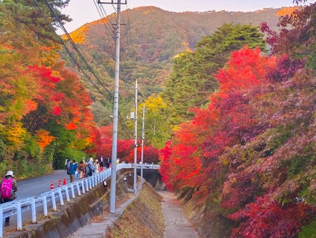 🍁 Autumn, I’m in Love 🍂✨