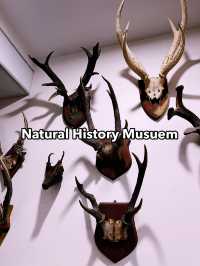 Must-Visit Marvel: The Natural History Museum Kucching