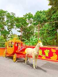 Discover Chinese Charm in Tangkak🏮