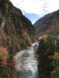 【富山・黒部】絶景の終着駅！黒部渓谷トロッコ列車で行く欅平🚞🌲
