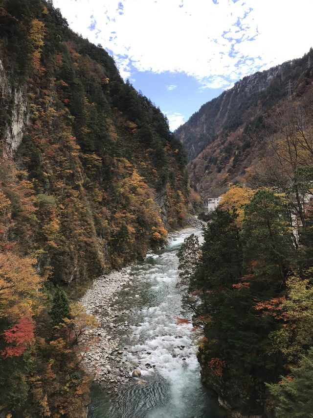 【富山・黒部】絶景の終着駅！黒部渓谷トロッコ列車で行く欅平🚞🌲