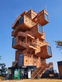 목포 핫플 카페 추천!