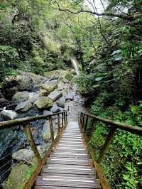 💧🌿 Nature’s Symphony at Xinliao Waterfall 🌸🏞️