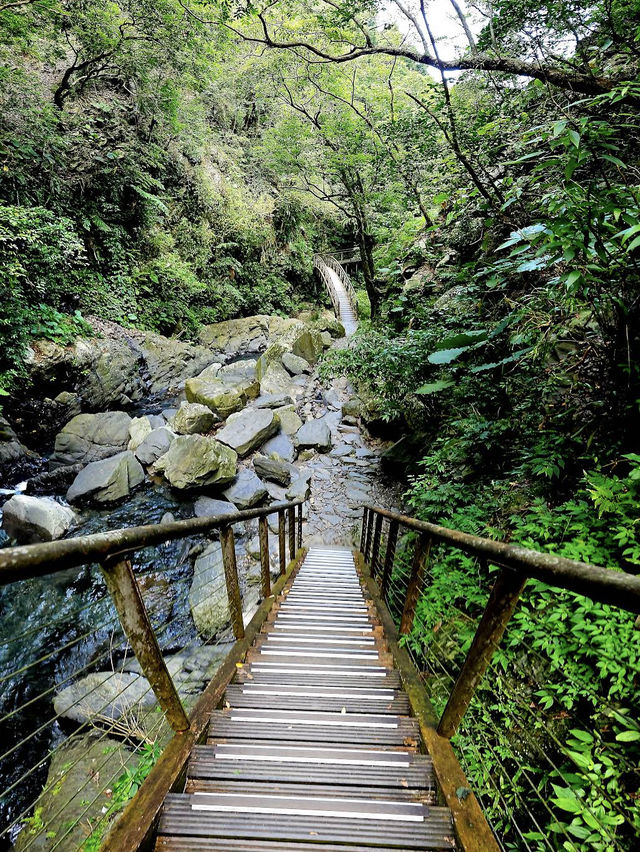 💧🌿 Nature’s Symphony at Xinliao Waterfall 🌸🏞️