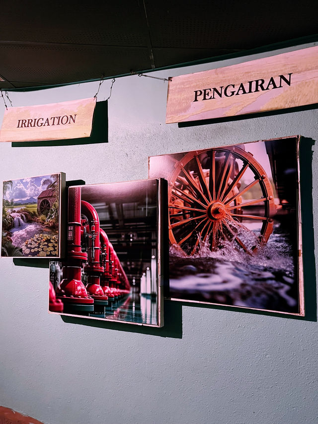 Akuarium Negara, Ampang – A Must-Visit for Marine Enthusiasts