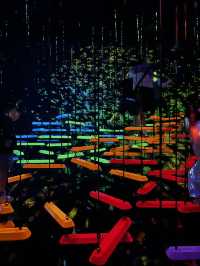 TeamLab planets TOKYO ✨