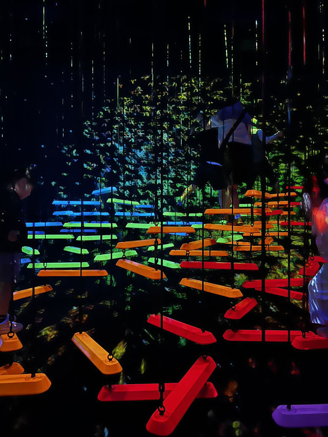 TeamLab planets TOKYO ✨ TeamLab planets TOKYO ✨