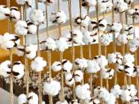 ๐ฟ ๊ณ ํ๋๋ชฉํ์ฒดํ์ฅ โ ๋ชฉํ์ ๋ฐ๋ค๊ฐ ํจ๊ปํ๋ ํ๋ง ์ฌํ