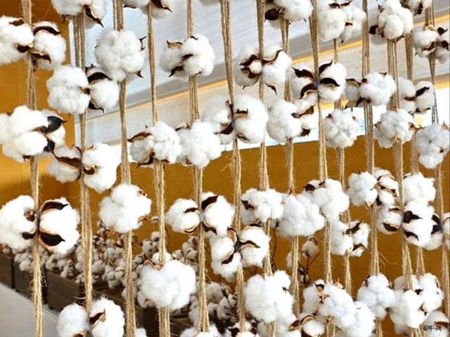 ๐ฟ ๊ณ ํ๋๋ชฉํ์ฒดํ์ฅ โ ๋ชฉํ์ ๋ฐ๋ค๊ฐ ํจ๊ปํ๋ ํ๋ง ์ฌํ ๐ฟ ๊ณ ํ๋๋ชฉํ์ฒดํ์ฅ โ ๋ชฉํ์ ๋ฐ๋ค๊ฐ ํจ๊ปํ๋ ํ๋ง ์ฌํ