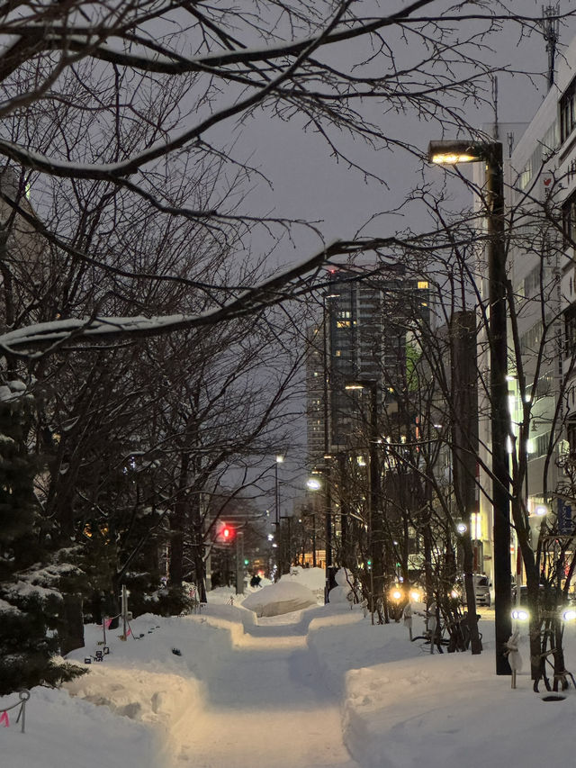 ❄️이색적인 겨울 삿포로 3박 4일 여행일정