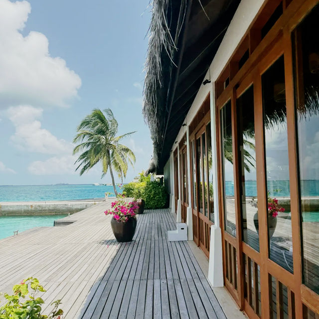 ✨ Sheraton Maldives Full Moon Resort & Spa: A Secluded Island Paradise 🌴 ✨ Sheraton Maldives Full Moon Resort & Spa: A Secluded Island Paradise 🌴