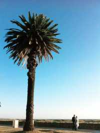 探索墨尔本的艺术心脏：涂鸦小巷全攻略