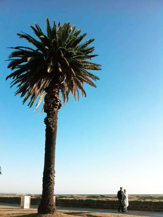 探索墨尔本的艺术心脏：涂鸦小巷全攻略