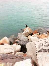 澳洲海邊慢活散步必去島嶼🌊  