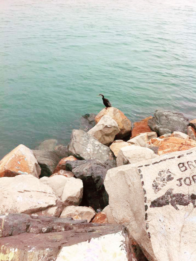 澳洲海邊慢活散步必去島嶼🌊  