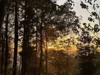 Zhangjiajie National forest park🙌🏼✨🔮