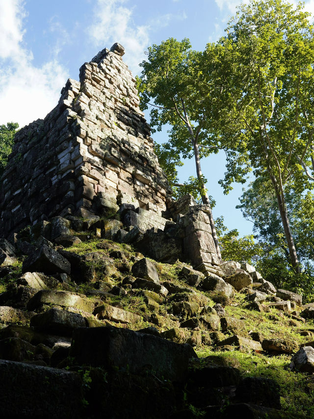 Nature Meets History🌿