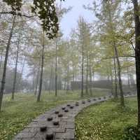 Zhangjiajie — A Landscape So Magnificent It Feels Almost Unreal (张家界)