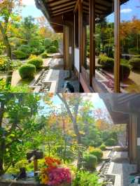 京都小眾賞楓秘境|正法寺禪意紅葉之旅🍁