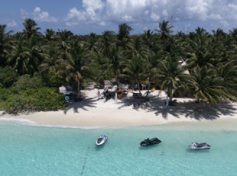 พร้อมที่จะถอดรองเท้าแล้วพักผ่อนแบบชาวมัลดีฟส์หรือยัง? 🌴🐢 ฉันใช้เวลาสองสามวันที่แสนวิเศษบนเกาะท็อดดู — เกาะท้องถิ่นที่เต็มไปด้วยแสงแดด ต้นมะพร้าว และบรรยากาศสบายๆ ที่คุณปรารถนา ไฮไลท์: การย่างปลาสดๆ ริมทะเลในแสงจันทร์ อิ่มท้อง มองดูดวงดาว และฟังเสียงคลื่นซัดสาด ผ่อนคลายอย่างแท้จริง

สถานที่และประสบการณ์แนะนำ:
- โรงแรม Thoddoo Island Life: dhilbahaaru magu sabudheleemage (สะอาดมาก ห้องน้ำทันสมัย ​​สวนเขตร้อน!)
- พักผ่อนบนหาด Bikini Beach ทรายขาวละเอียด ห่างออกไปเพียงไม่กี่นาที

- ไปชมเต่าทะเล 🐢 ในทัวร์ดำน้ำตื้นพร้อมไกด์ — สอบถามพนักงานต้อนรับของโรงแรมเพื่อจองทัวร์

- รับประทานอาหารที่ร้านอาหารท้องถิ่นใกล้เคียง อย่าพลาดบาร์บีคิวริมชายหาดตอนพระอาทิตย์ตกดิน (โรงแรมสามารถช่วยจัดเตรียมได้!)
- สำรวจด้วยจักรยาน — การเช่าจักรยานง่ายและเหมาะสำหรับการถ่ายรูปต้นมะพร้าว

เคล็ดลับและเทคนิคการเดินทาง:
- พนักงานต้อนรับของโรงแรมใจดีและช่วยเหลือดีมาก ไม่ว่าคุณต้องการความช่วยเหลือเรื่องทัวร์ การรับส่งสนามบิน หรือคำแนะนำเรื่องอาหารว่างยามดึก

- ห้องพักทำความสะอาดทุกวัน พร้อม Wi-Fi แรง และชา/กาแฟไม่จำกัด

- พกลำโพงพกพาสำหรับปาร์ตี้บาร์บีคิวริมชายหาดตอนกลางคืน และผลไม้สดจากอาหารเช้าสำหรับทานเล่น

ร้านค้าส่วนใหญ่บนเกาะท็อดดูรับบัตรเครดิต แต่ควรพกเงินสดไว้บ้างสำหรับร้านค้าเล็กๆ

วิธีที่ดีที่สุดในการเดินทางรอบเกาะ: เช่าจักรยานหรือเดินเท้า — ทั้งเกาะเงียบสงบและปลอดภัย

แสงแดดไม่รู้จบ ชีวิตบนเกาะที่ผ่อนคลาย และเต่ามากมาย — เชื่อฉันสิ มันสวยงามอย่างที่คิดเลย 😎🌊 #เกาะท็อดดู #บาร์บีคิวมัลดีฟส์ #ดูเต่า #เคล็ดลับการเดินทาง #Tripdotcom