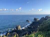 🎄 Festive Stroll: Recharge at Maobitou Park