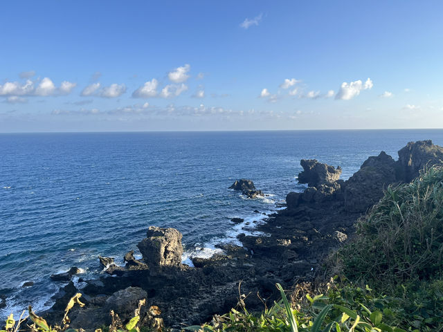 🎄 Festive Stroll: Recharge at Maobitou Park 🎄 Festive Stroll: Recharge at Maobitou Park