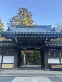 大雄山最乗寺入り口